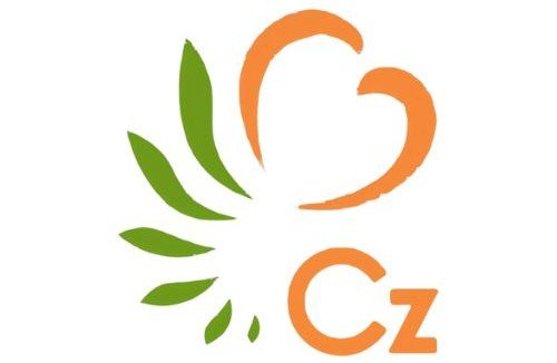 Cz Creation: Experience the comfort